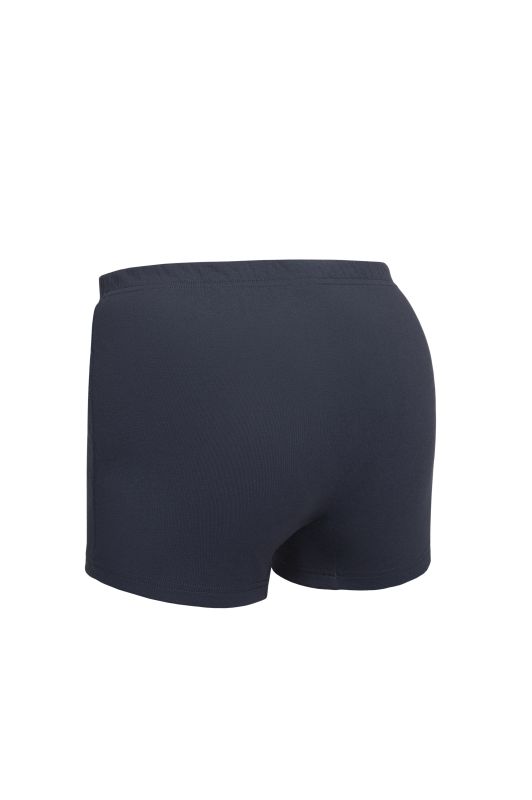 Чоловічі труси BASIC BOXER MS 101, р.XXL, grafit
