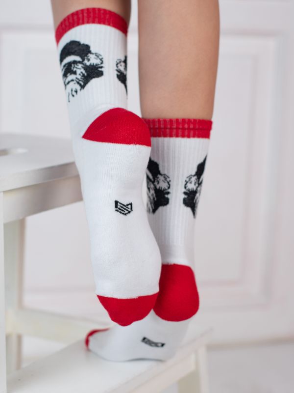 Шкарпетки MS M0304S Fancy, р.42-45, 45 білий